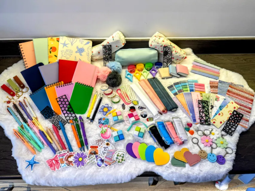 Deluxe 25 item mystery bookish and stationary bundle