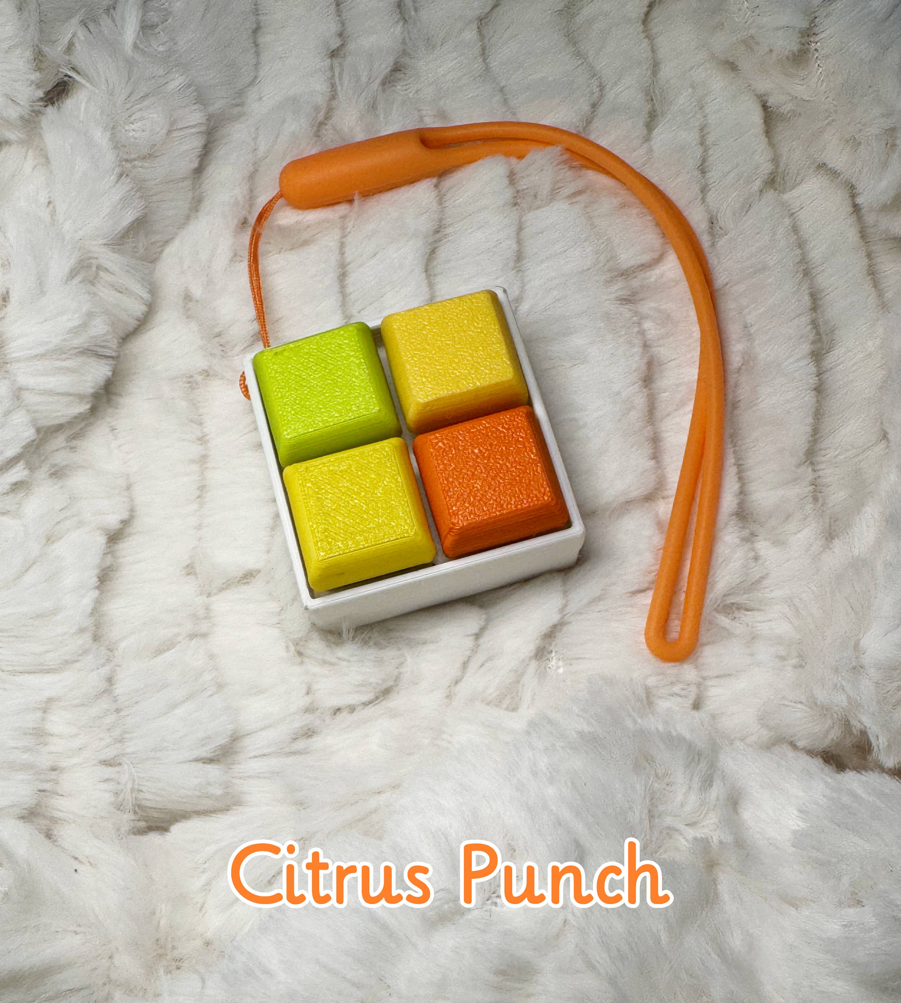 2X2 3D Printed Fidget Clicker – Mechanical Keyboard Style | Stress Relief Fidget Toy ASMR - Citrus Punch